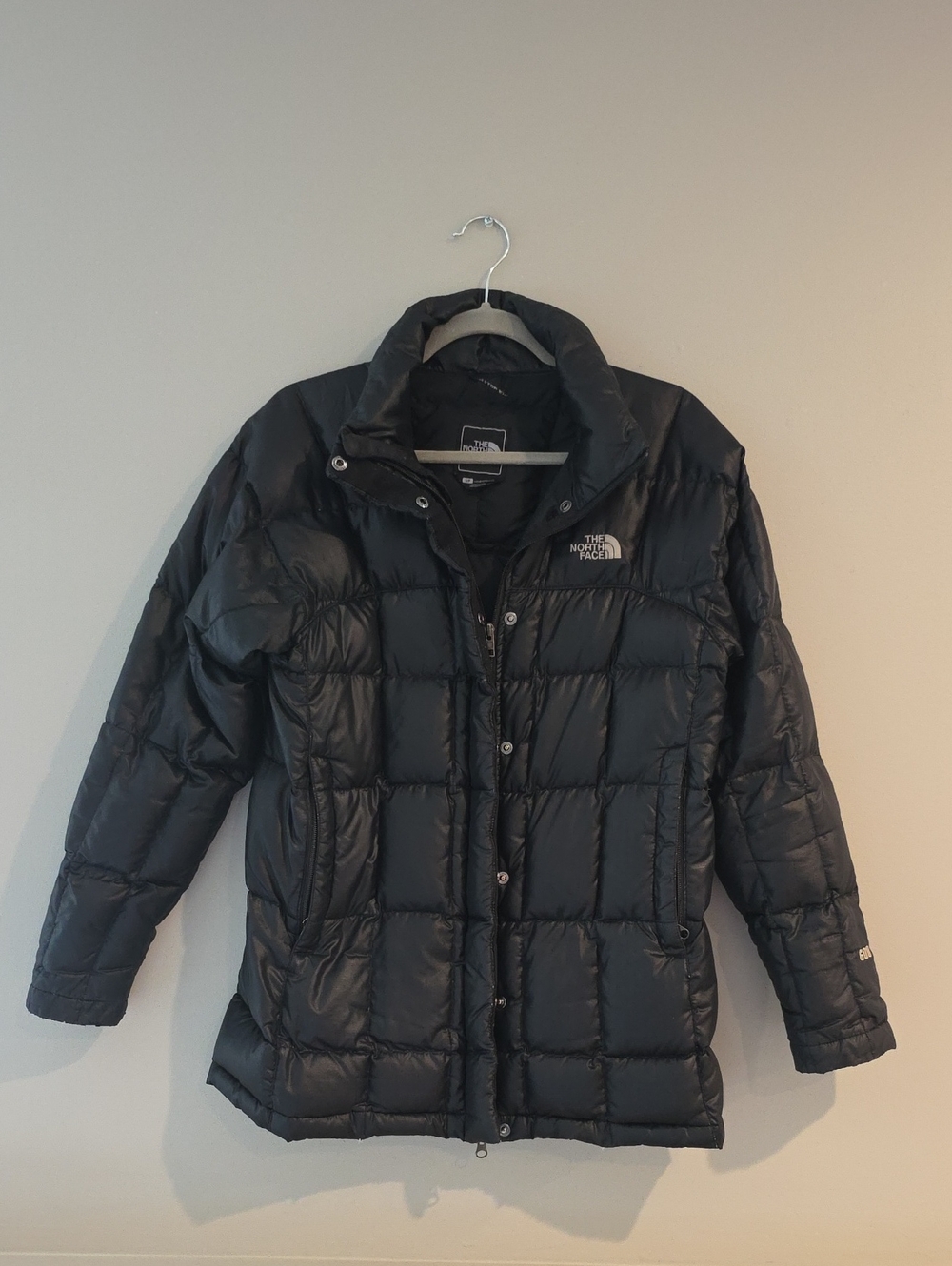 The North Face Women’s Black Puffer Coat